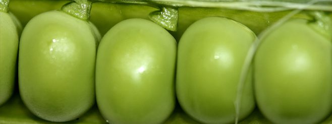 Give Peas A Chance